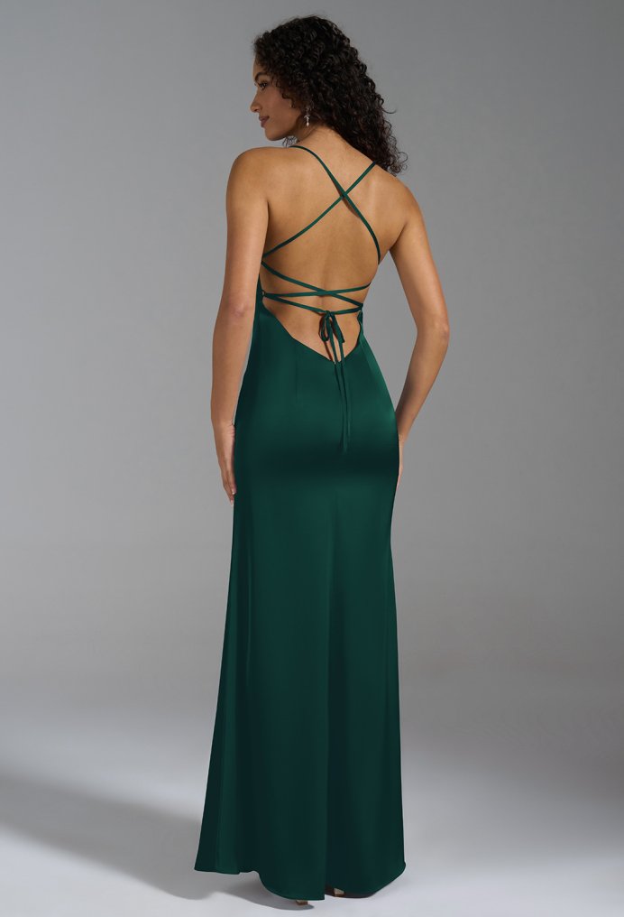 AW Shane Dress